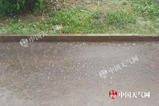 6月18日下午18时左右，朝阳市北票市出现中雨。（陈伟/摄）