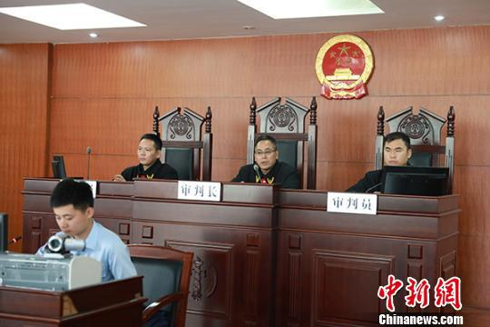 合议庭　向曼琦　摄