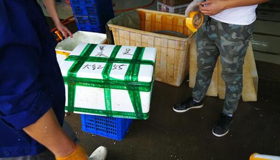 洪湖的生鲜水产品通过快递运往全国各地。