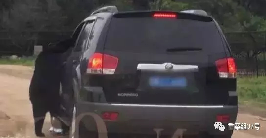 ▲马来熊扒住窗口不放，甚至一度有向里攀爬的意思。&nbsp;&nbsp;&nbsp;&nbsp;视频截图