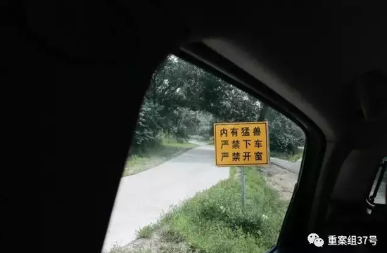 　　▲2017年7月17日，一年前事发的东北虎园内立着“内有猛兽，严禁下车，严禁开窗”的警示牌。&nbsp;&nbsp;&nbsp;&nbsp;新京报记者 朱骏 摄