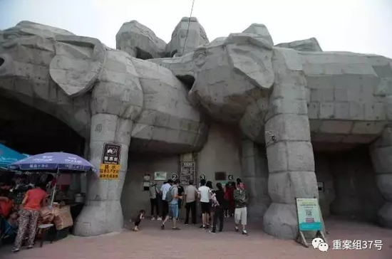 ▲2017年7月15日，八达岭野生动物园售票处，游客正在购票。&nbsp;&nbsp;&nbsp;&nbsp;新京报记者 朱骏 摄