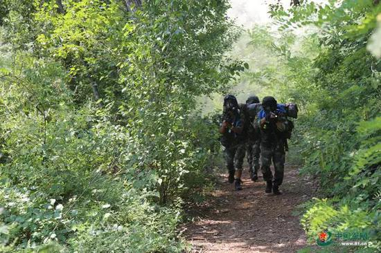  魔鬼周训练，几名特战队员全副武装搜索前进