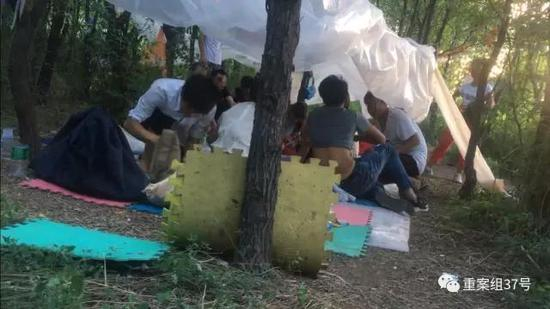 　　▲8月4日，静海曹官庄村北枣树林深处，十多名传销人员搭着简易遮篷，在野外“躲负面”，即逃避打击。 新京报记者 赵吉翔 摄