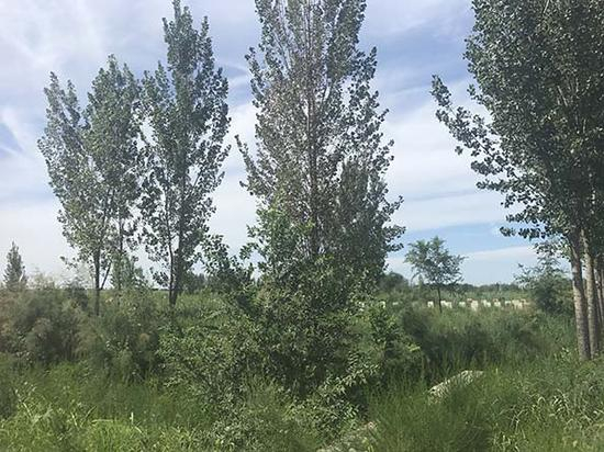 传销人员常活动的野地