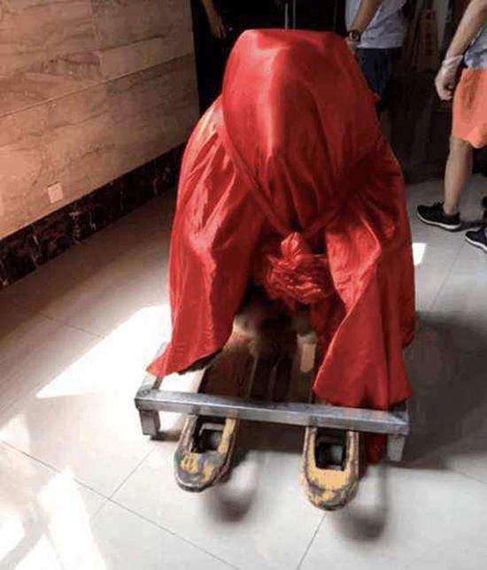 隋鸿锦表示，“掀起你的盖头来”的调侃是克服标本制作种种难题后喜悦心情的体现。受访者供图