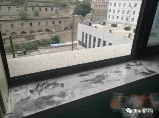 ▲马芳从该窗台跳楼身亡。 图片来自华商网