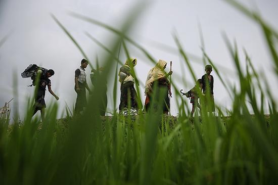 　　当地时间2017年9月12日，孟加拉国科克斯巴扎尔，逃离缅甸暴力冲突的罗兴亚难民持续涌入孟加拉国。 本文图均为 视觉中国 图