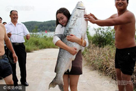 捕鱼者获“鱼王” 和人一样高