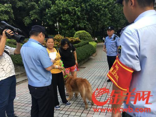 　　广州警方联合城管等部门开展养犬整治联合执法行动，许多市民自觉为爱犬上牌、牵绳。 本文图片均为金羊网 图