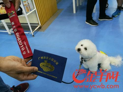 爱犬上牌后，拥有专属“身份证号”，可免费植入芯片，丢失后寻找更方便。