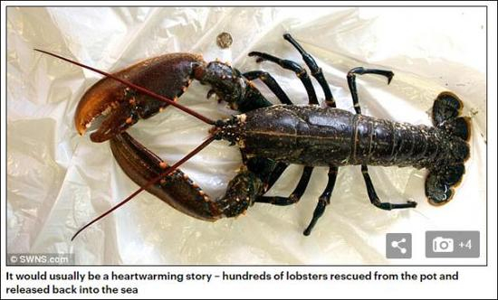 《每日邮报》报道截图