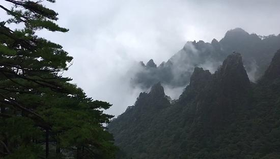 午后，黄山白鹅岭前景色。