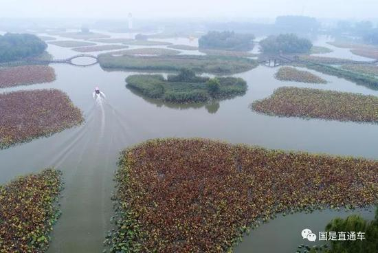 中新社发 周国强 摄