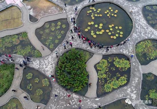 中新社发 周国强 摄