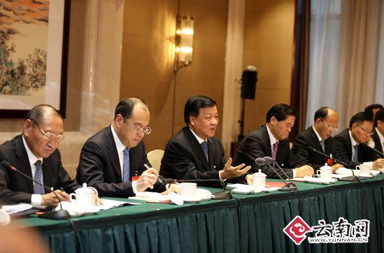 刘云山参加云南代表团讨论 记者雷桐苏/摄