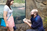 男子动物园求婚河马贴玻璃凝视