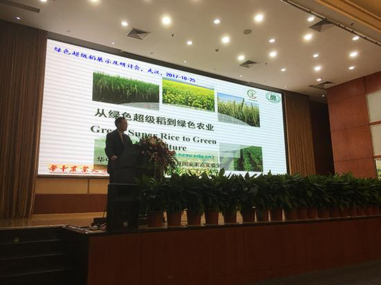 中科院院士、华中农业大学教授张启发作报告。