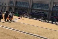 浙江一火车站广场被稻谷铺满