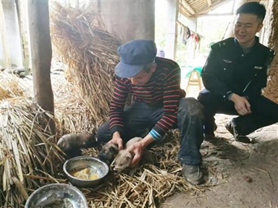 当晚出警的民警吕政洋再次来到彭大爷家，大爷正在给小狗喂食。成都商报 图