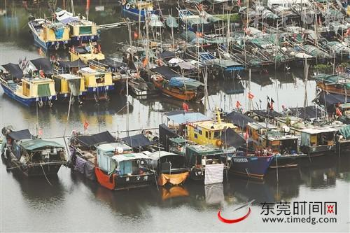 ■我市发出首份水生态修复检察建议书。图为虎门新湾社区停靠的渔船 图/记者 郑家雄 摄