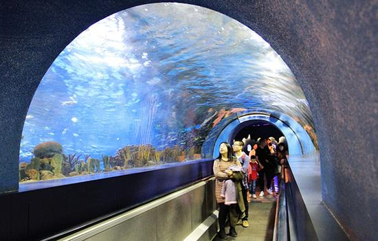 北京海洋馆，游人正在参观“海底隧道”。 东方IC 资料图