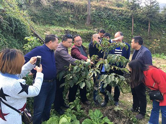 　　赵茂兴（左三）向前来参观核桃产业的考察团介绍富裕村核桃产业发展情况。 本文图片除署名外 赵茂兴 供图