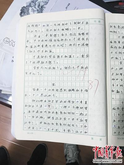 小金的日记。中国青年报·中青在线记者&nbsp;袁贻辰/摄