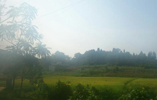 2016年下半年，何洪章胜子一家搬进了政府为他们修建的新房子里。