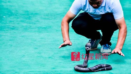 今年8月，曾经的湖南永州捕蛇者龚雪桂在湖北、广西、湖南三省蛇王争霸赛中夺得亚军 &nbsp;受访者供图