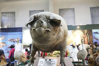 辽宁农博馆现1800斤“猪王”