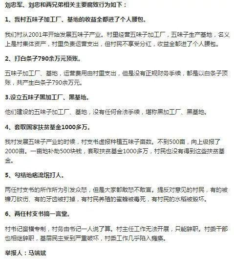 马端斌举报两任村支书的六项具体内容