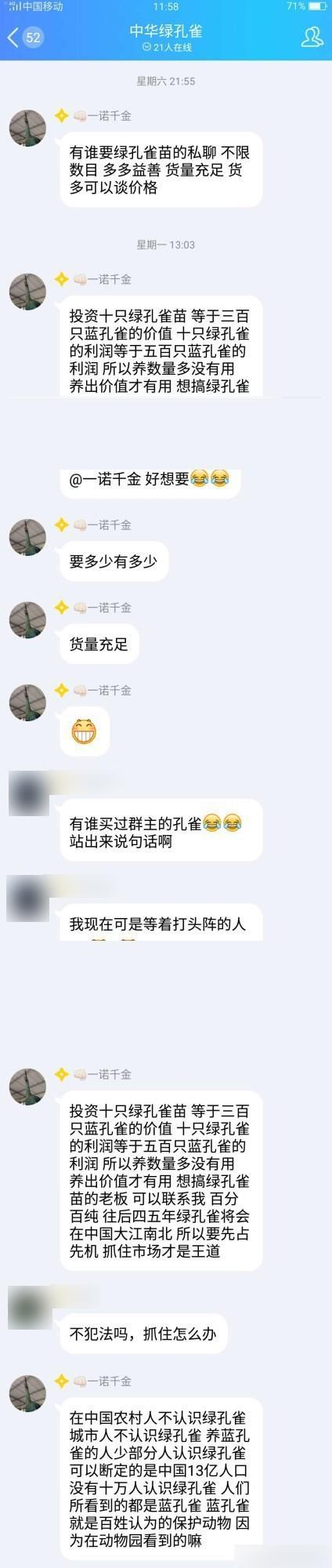 志愿者在微博上曝光的非法贩卖绿孔雀线索。本文图片来源于绿孔雀保护行动志愿者