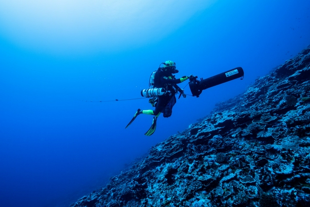 保育专家在极地之下III（Under The Pole III）探险活动中采集了不同类型的珊瑚样本。