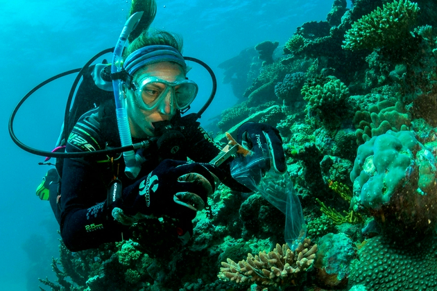 　　海洋科学家、2019年劳力士雄才伟略大奖得主爱玛·甘普（Emma Camp）致力于保护澳大利亚大堡礁的珊瑚礁。©Rolex