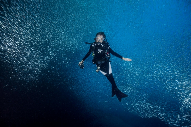 席薇亚‧厄尔（Sylvia Earle）进行水下探潜 ©Rolex/Kip Evans