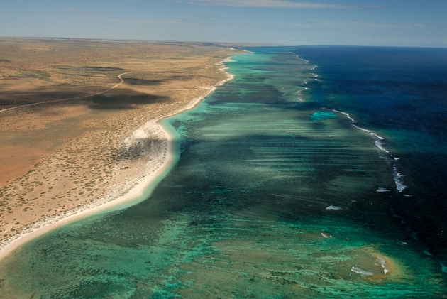 海洋变暖、环境污染和破坏性捕捞都使得珊瑚礁面临着前所未有的威胁 © Rolex/Kurt Amsler