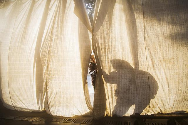 《有人吗》 摄影：@风歌2808131651