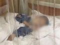 5岁男童白血病保险理赔被盗刷10万 家长寻求多方无处追回