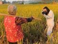 孙女辞职回乡为82岁奶奶拍写真:有些事现在不做怕来不及