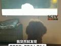 主人回应狗子看奥运开幕式吓跑:就单那一个节目给吓坏了