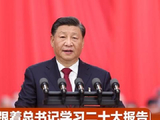 跟着总书记学习二十大报告丨加强党对一切工作的领导