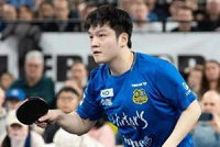 王励勤回应“樊振东回归国家队”：目前还在联系