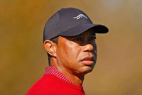 又来了！老虎伍兹卷入车祸被捕，面临毒驾等多项指控和监禁起诉