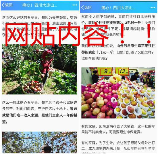 部分“悲情营销”贴文内容