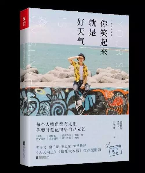 王义博的书