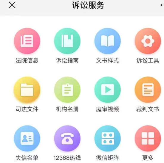 法院提供网络平台。
