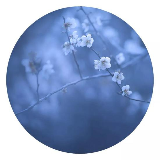 《玉骨冰姿》