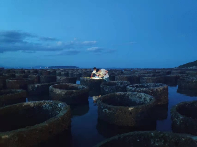 海洋秃头精联盟实地调查 图片由本人提供