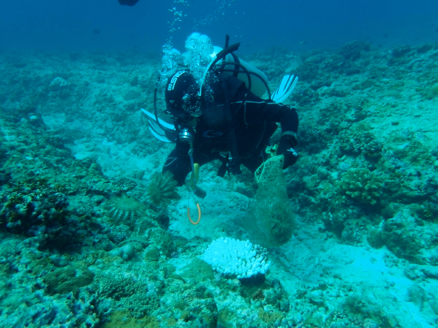 李波潜入海底清理海洋垃圾 图片由本人提供